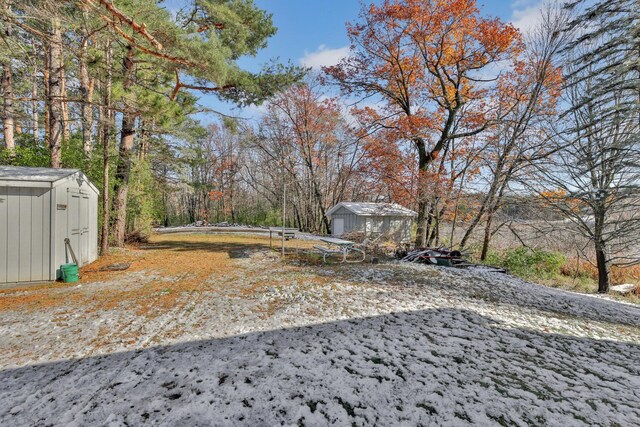 view of yard with a storage shed