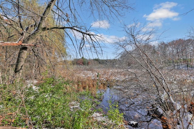 view of nature