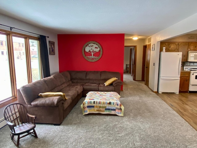 living room with light hardwood / wood-style flooring