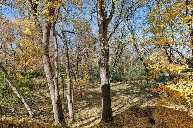 view of landscape