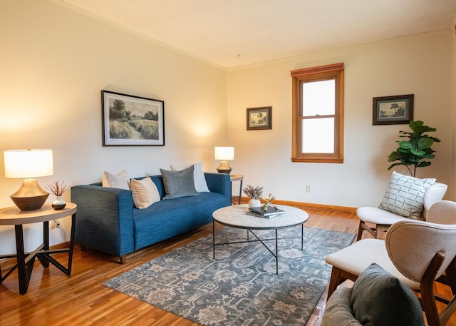 living room featuring crown molding and hardwood / wood-style floors