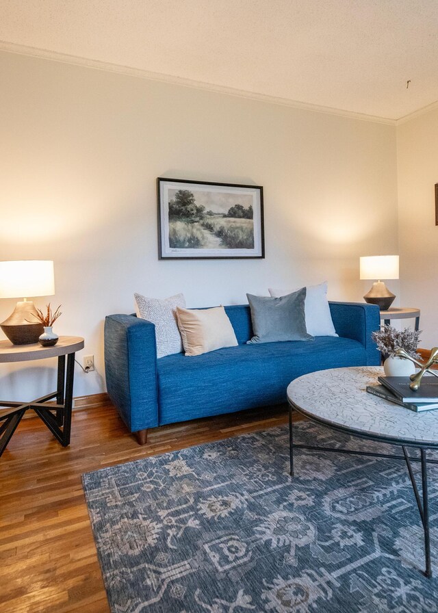 living room featuring ornamental molding and dark wood-type flooring