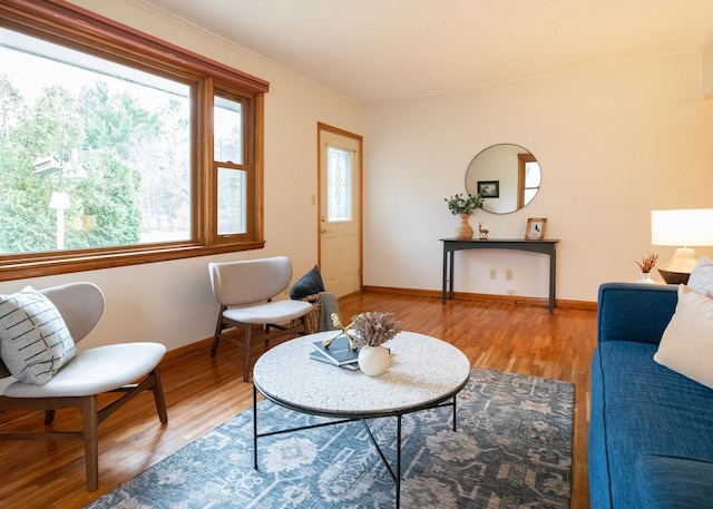 sitting room featuring hardwood / wood-style floors