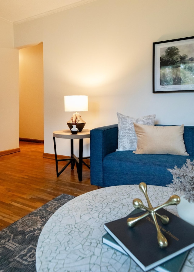 living room featuring hardwood / wood-style floors and ornamental molding