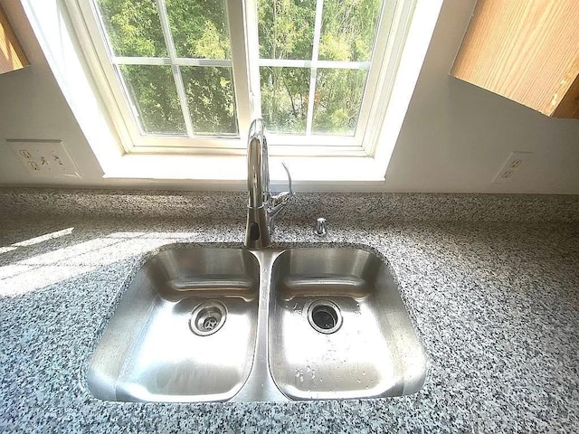 interior details featuring sink