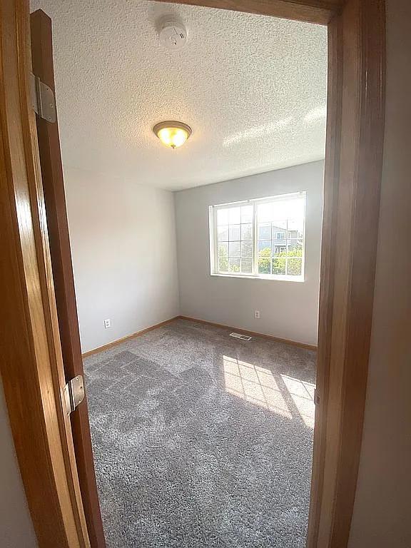 empty room with a textured ceiling and carpet flooring