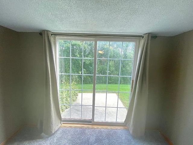 doorway to outside with a wealth of natural light and a textured ceiling