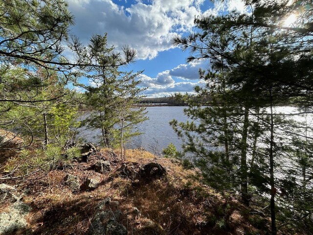 TBD Wilderness Way, Cook, MN 55723 - photo 1