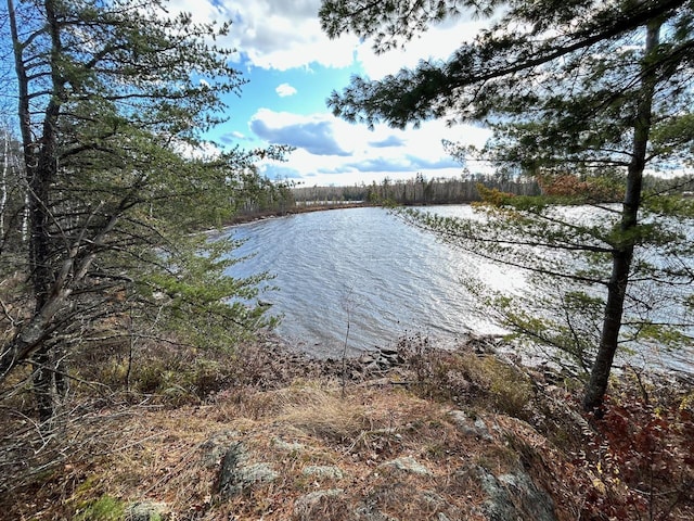 TBD Wilderness Way, Cook, MN 55723 - photo 2