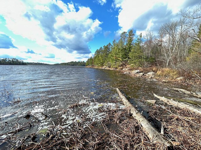 TBD Wilderness Way, Cook, MN 55723 - photo 3