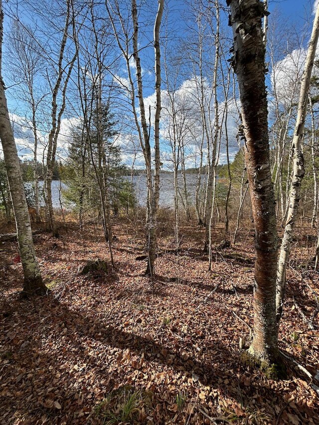 TBD Wilderness Way, Cook, MN 55723 - photo 4