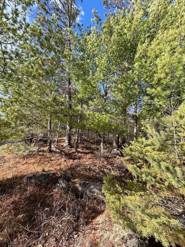 TBD Wilderness Way, Cook, MN 55723 - photo 5