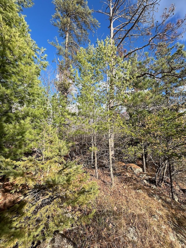 TBD Wilderness Way, Cook, MN 55723 - photo 6