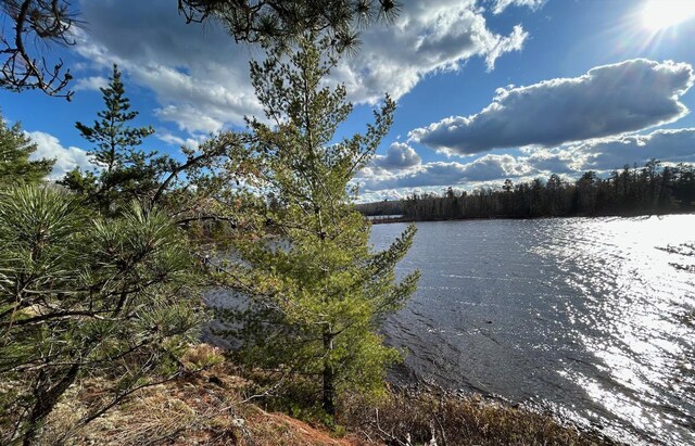 TBD Wilderness Way, Cook, MN 55723 - photo 7