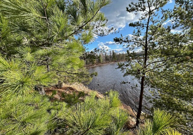 TBD Wilderness Way, Cook, MN 55723 - photo 8