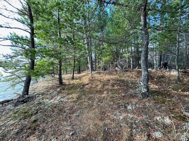TBD Wilderness Way, Cook, MN 55723 - photo 9