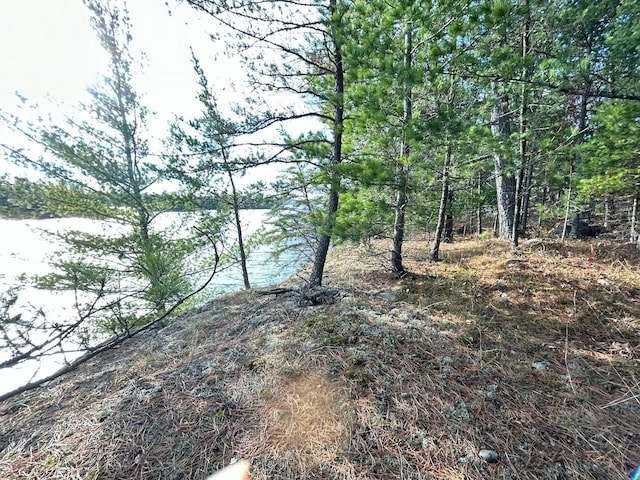 TBD Wilderness Way, Cook, MN 55723 - photo 10