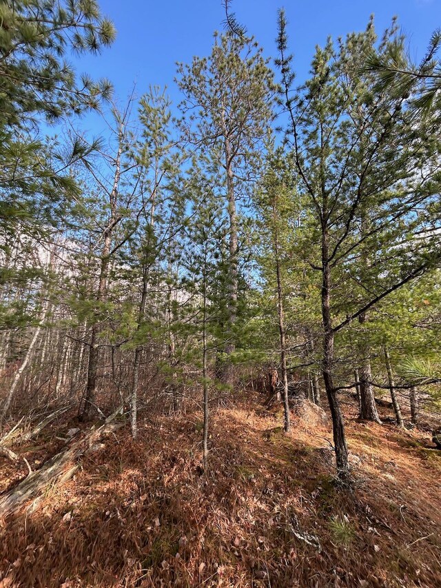 TBD Wilderness Way, Cook, MN 55723 - photo 11