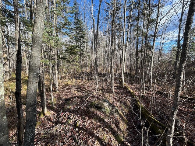 TBD Wilderness Way, Cook, MN 55723 - photo 12