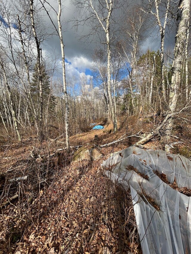 TBD Wilderness Way, Cook, MN 55723 - photo 15