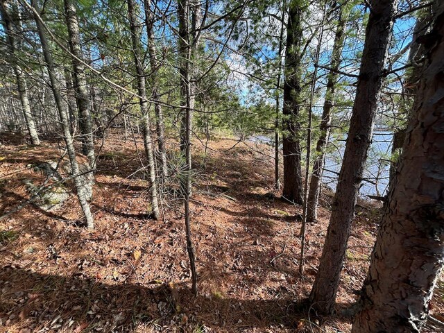 TBD Wilderness Way, Cook, MN 55723 - photo 17