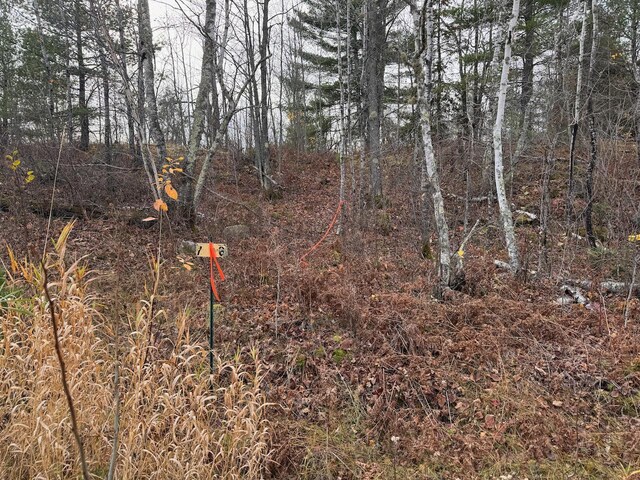 TBD Wilderness Way, Cook, MN 55723 - photo 19