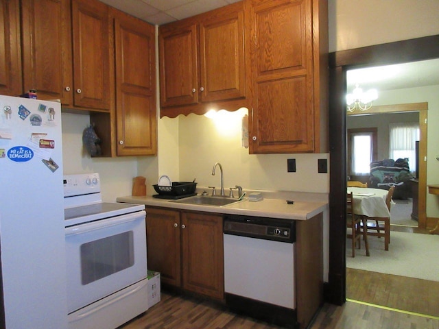 kitchen featuring sink, white appliances, and dark hardwood / wood-style flooring