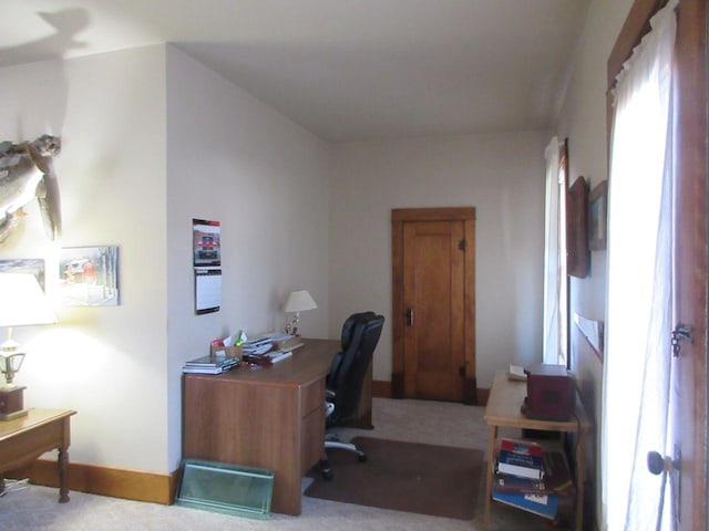 home office with plenty of natural light and light colored carpet