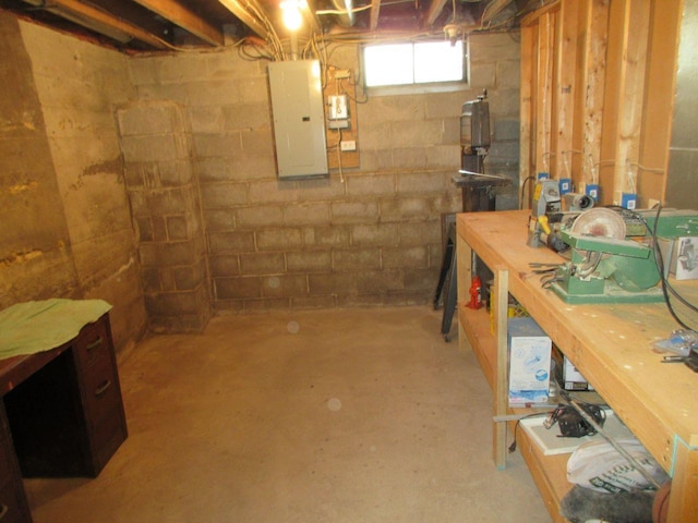 basement featuring electric panel and a workshop area