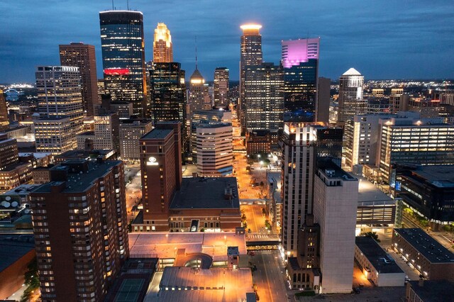 201 11th St Unit 2420, Minneapolis, MN 55403 - photo 1