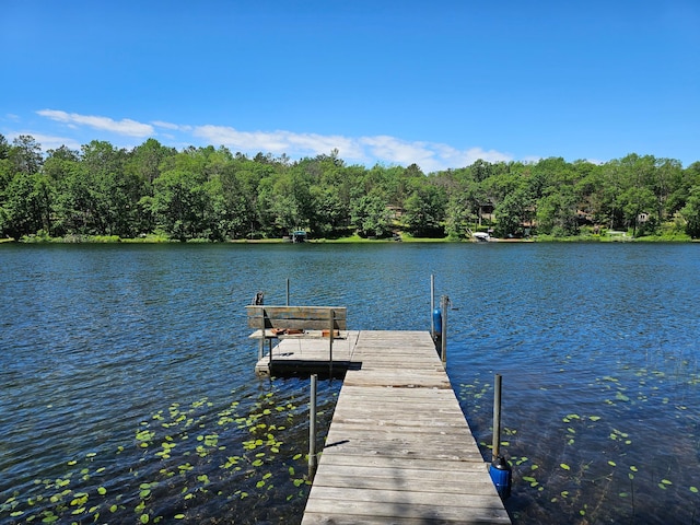 view of dock with a water view