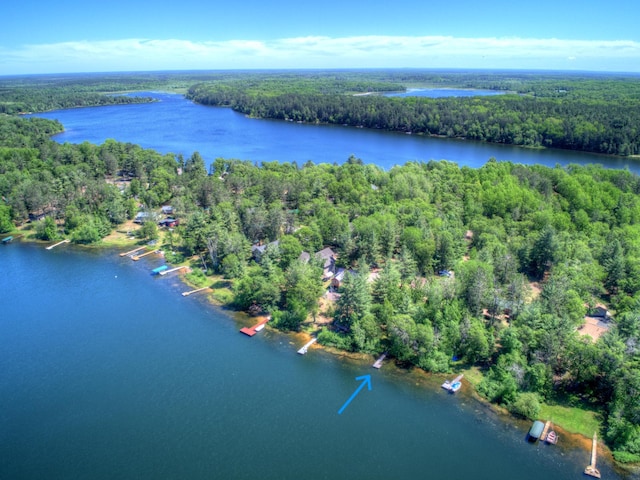 view of property location with a forest and a large body of water