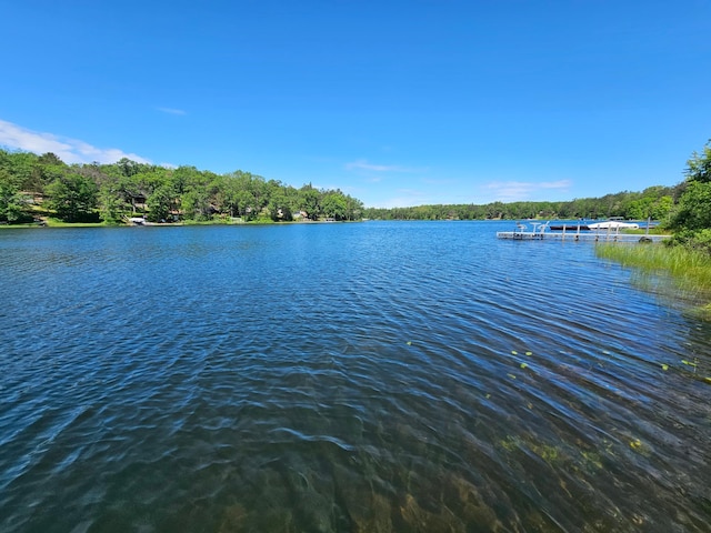 water view featuring a boat dock