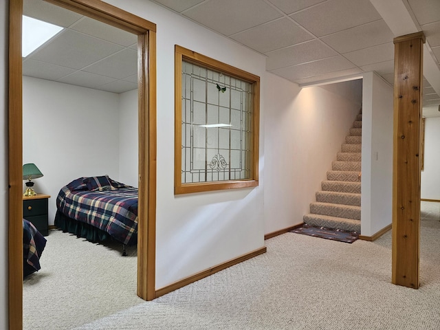 bedroom featuring a drop ceiling, carpet flooring, and baseboards