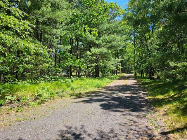 view of road with a view of trees