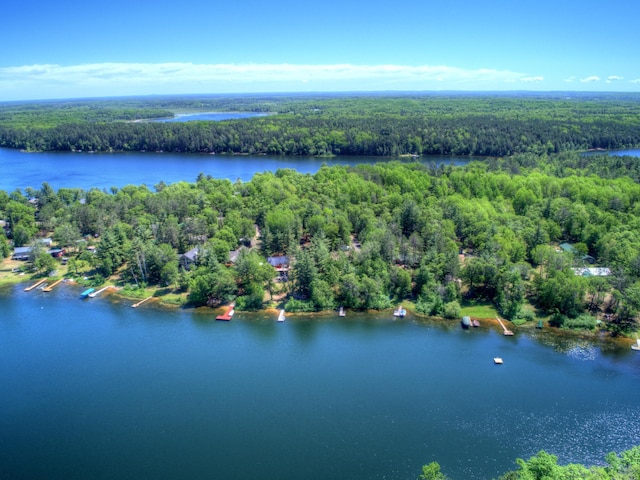 aerial view of a heavily wooded area and a nearby body of water