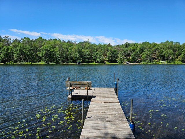 N13475 Narrows Trl, Minong, WI 54859 - dock area with a water view