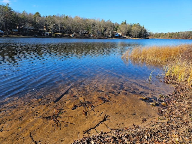 N13475 Narrows Trl, Minong, WI 54859 - water view