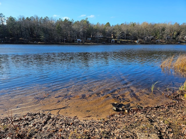 N13475 Narrows Trl, Minong, WI 54859 - water view