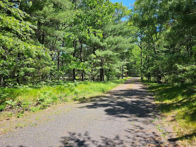 N13475 Narrows Trl, Minong, WI 54859 - view of street with a forest view