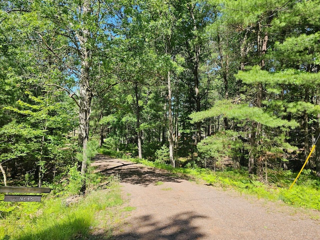 N13475 Narrows Trl, Minong, WI 54859 - view of road
