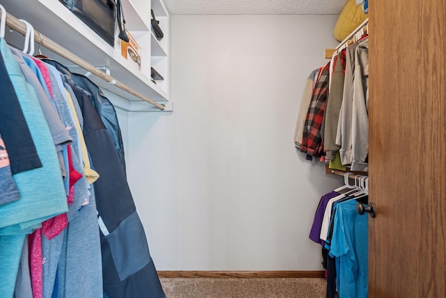 walk in closet with carpet floors