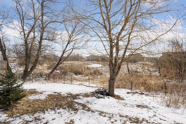 view of yard covered in snow