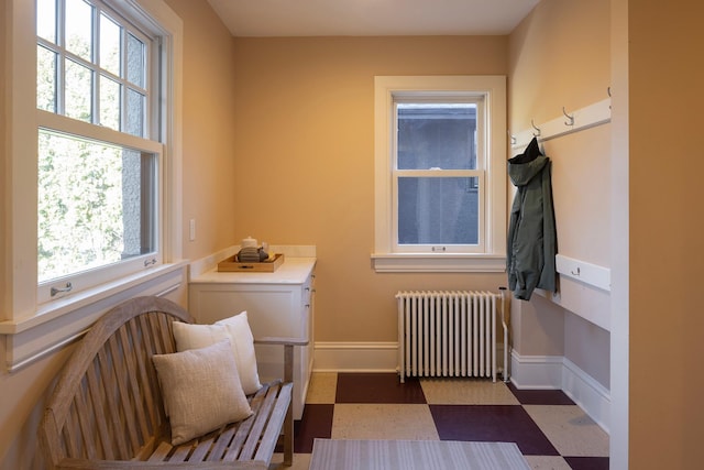 sitting room featuring radiator heating unit