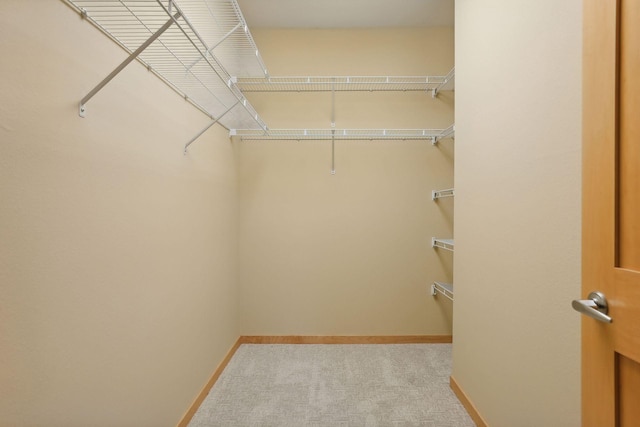 spacious closet featuring light colored carpet