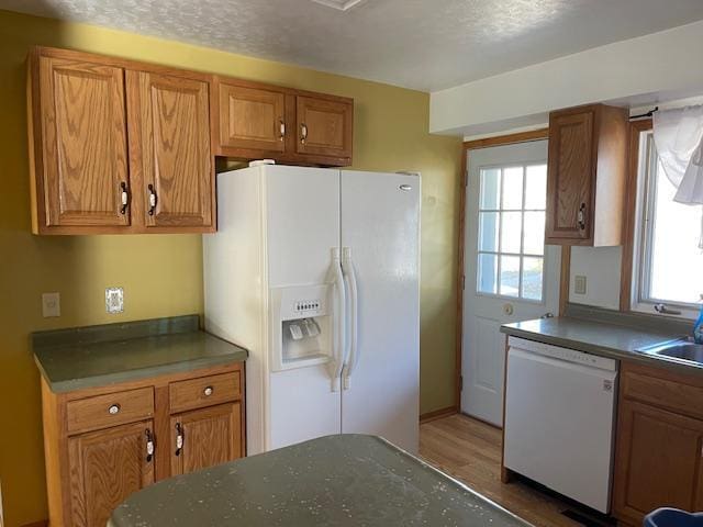 kitchen featuring a wealth of natural light, dark hardwood / wood-style floors, and white appliances