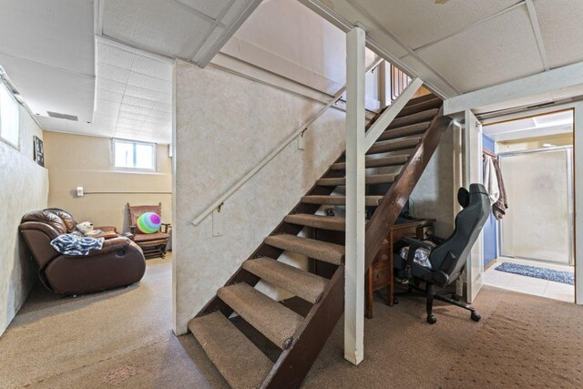 basement featuring carpet floors