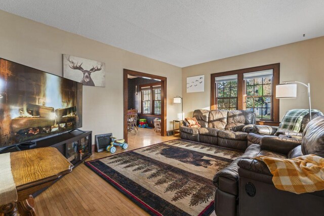 living room with hardwood / wood-style floors and a textured ceiling