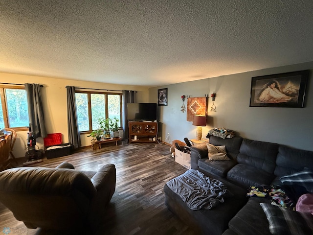 living room featuring a textured ceiling and hardwood / wood-style flooring