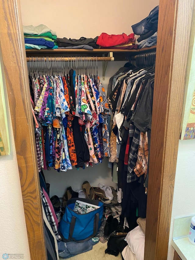 spacious closet with carpet flooring